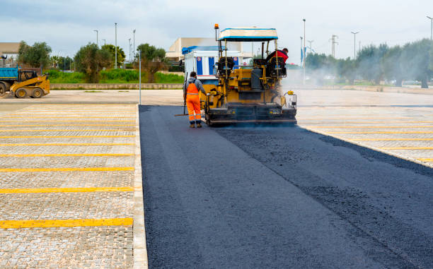 Best Driveway Paving Contractor  in Palestine, TX