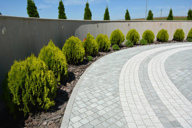 Best Residential Paver Driveway  in Palestine, TX