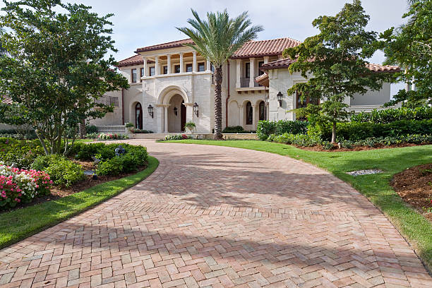 Best Driveway Pavers Near Me  in Palestine, TX