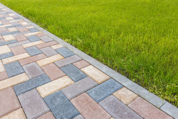 Best Driveway Pavers Near Me  in Palestine, TX